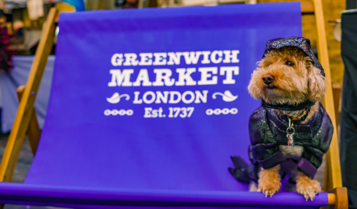 Greenwich Market dog